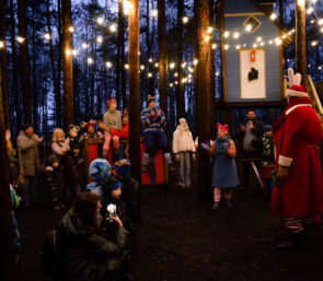 Kärbes Jaagu platsil